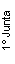 Cuadro de texto: 1 Junta