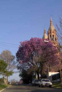 flores06.jpg (69911 bytes)