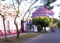 flores08.jpg (97163 bytes)